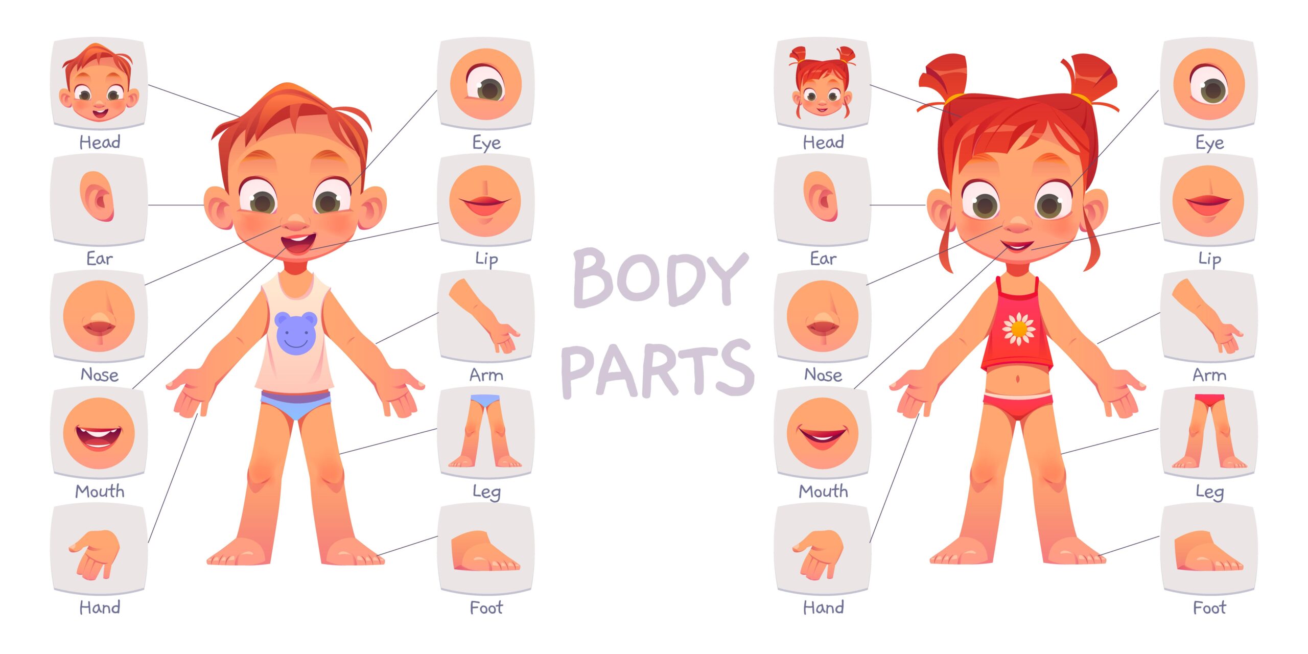Vocabulário #01 | 30 Palavras Sobre o Corpo Humano